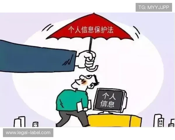 AG试玩平台的安全性分析与用户隐私保护措施详尽介绍